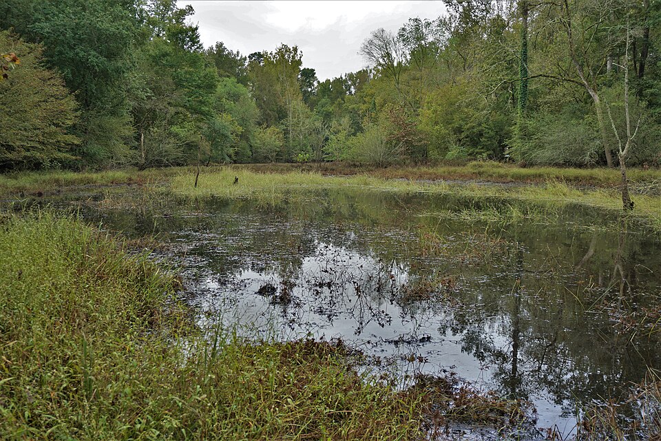 Horseshoe Farm Nature Preserve Picnic Shelter